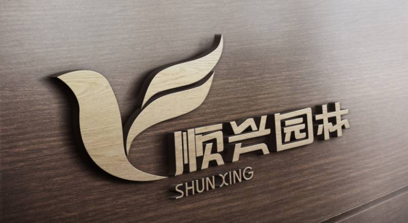 红旗区VI设计：城市品牌蝶变的核心引擎